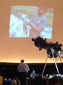 Coyote presentation at Fernbank Science Center