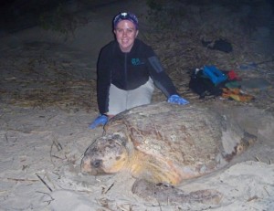 Turtle with volunteer Turtle with volunteer