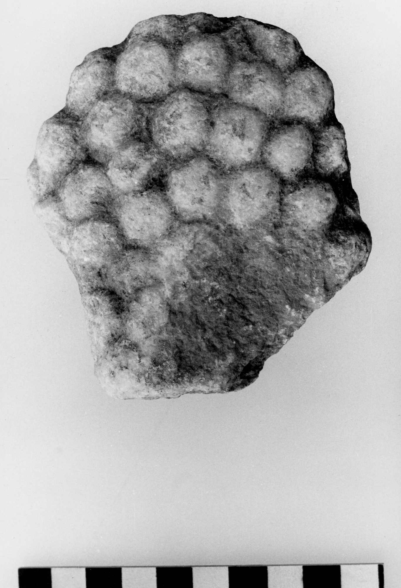 The Archaeological Exploration of Sardis