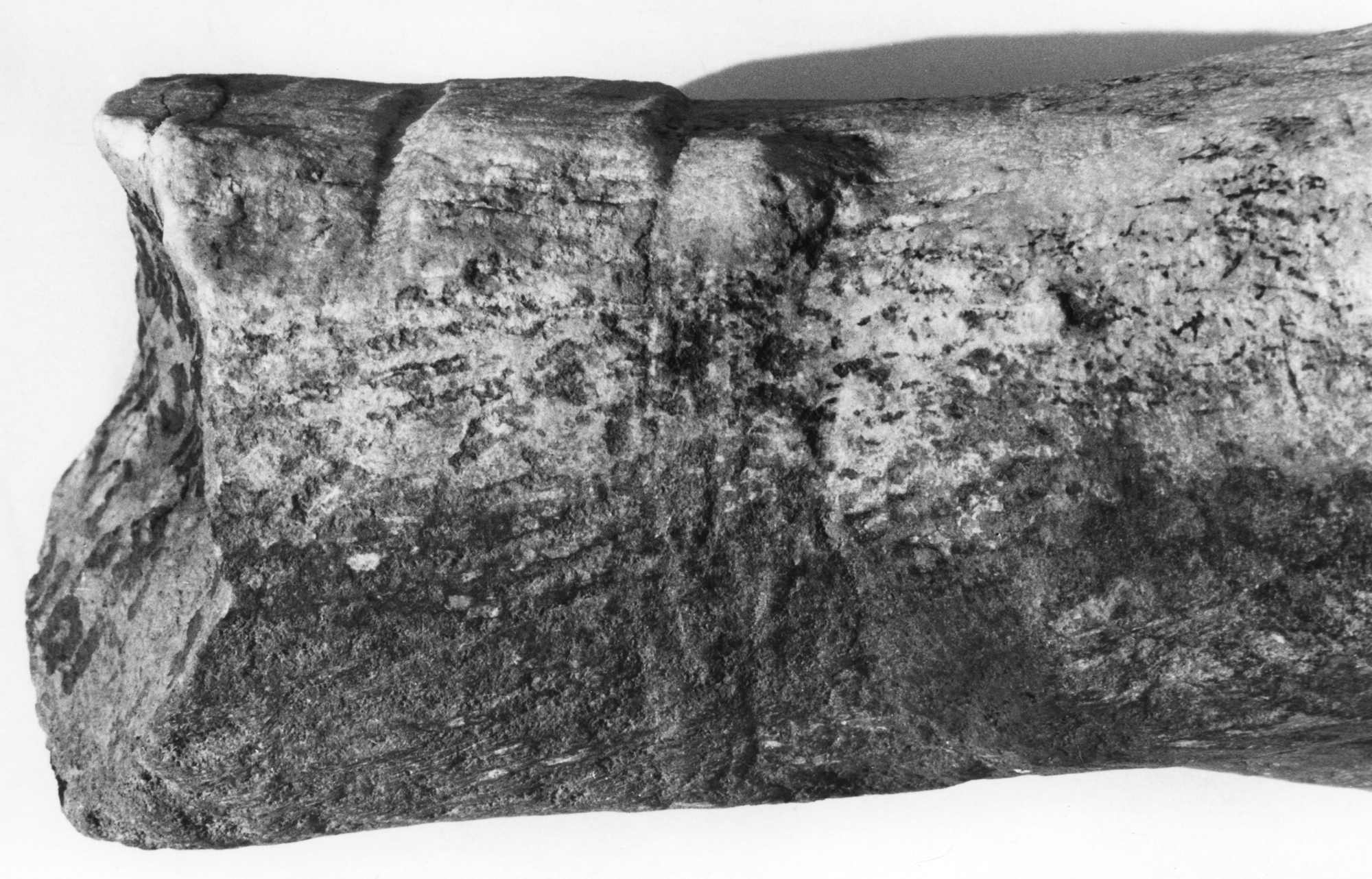 The Archaeological Exploration of Sardis