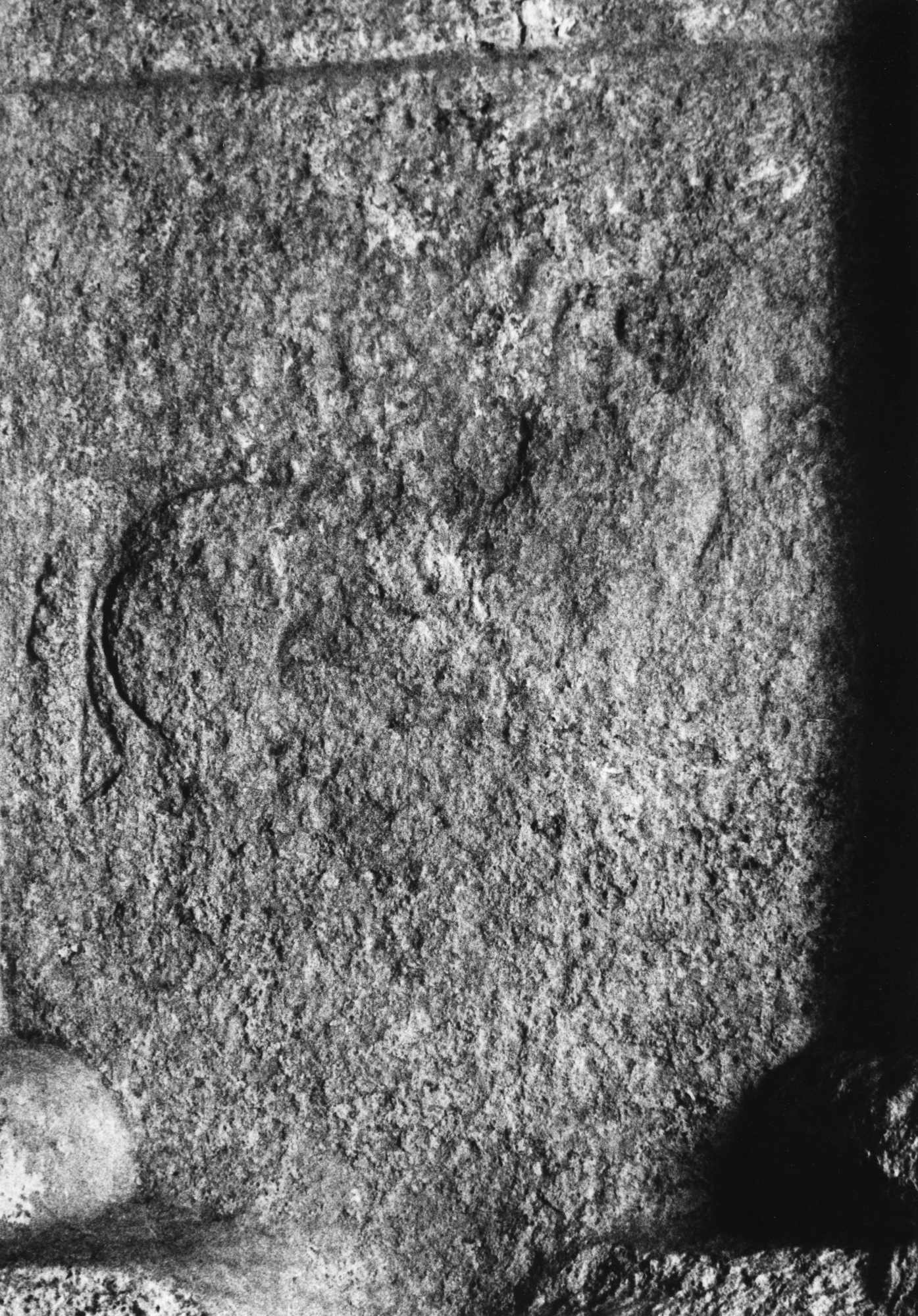 The Archaeological Exploration of Sardis