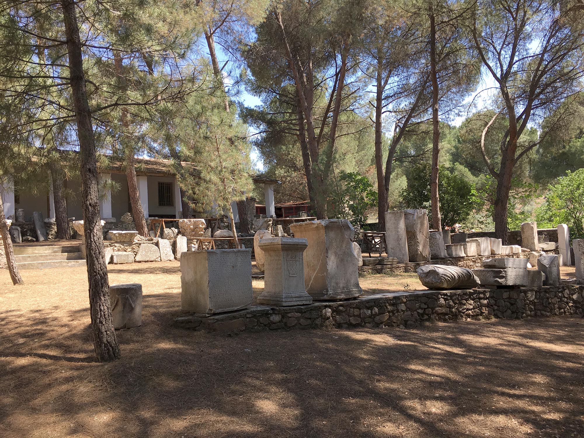 The Archaeological Exploration of Sardis