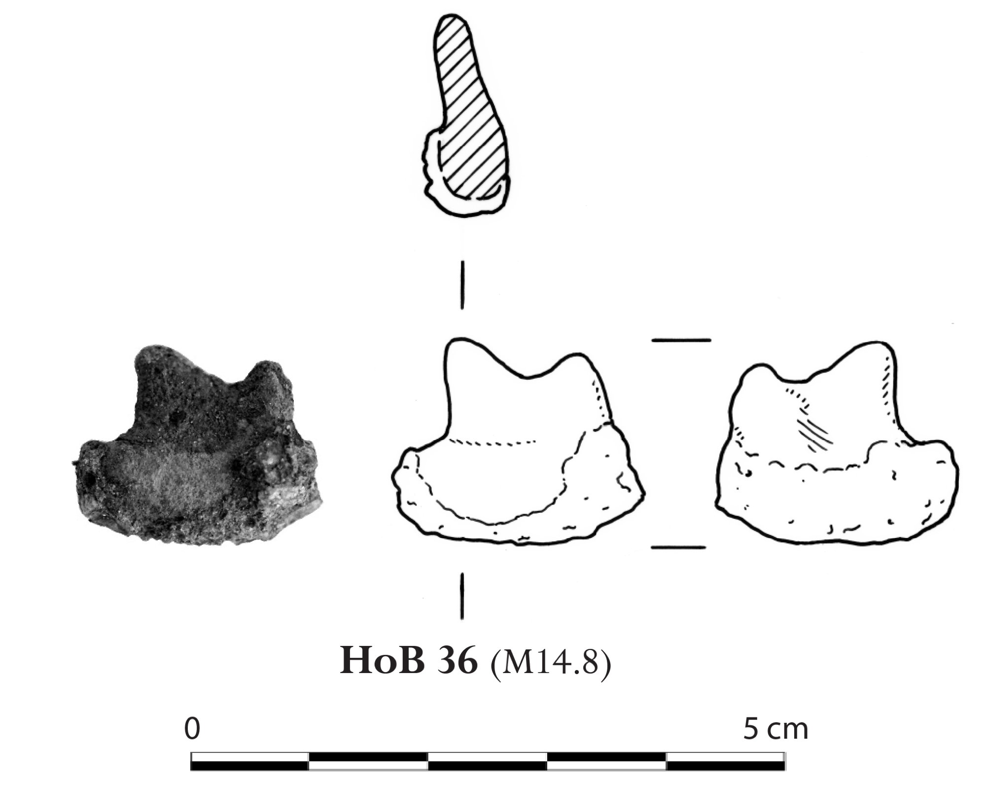 The Archaeological Exploration of Sardis