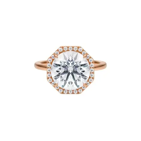 Rose_Top_HF#42_00000