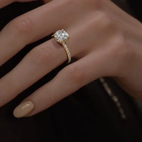 compressed_OA_V002-(00025)