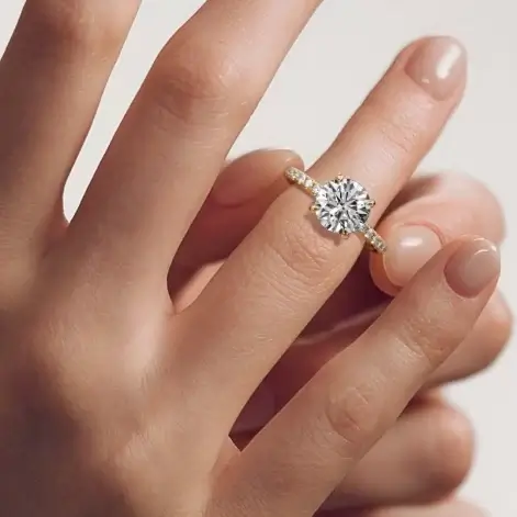 25_PR01_LT_RNG05_V002_A_Y_V005 Cover image