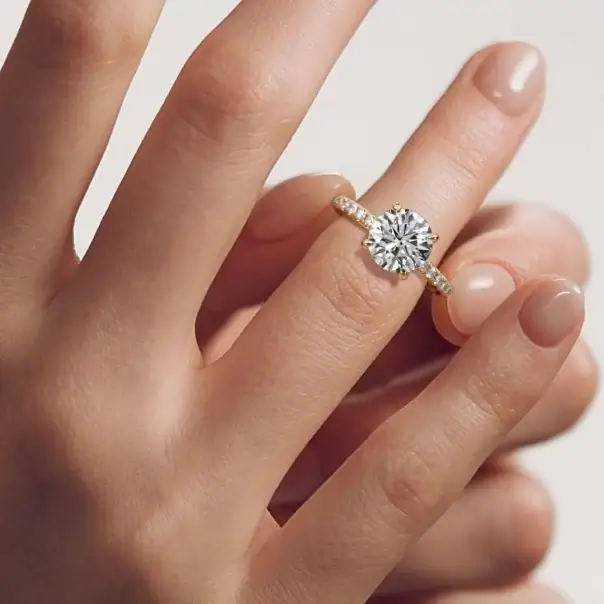 25_PR01_LT_RNG05_V002_A_Y_V005 Cover image