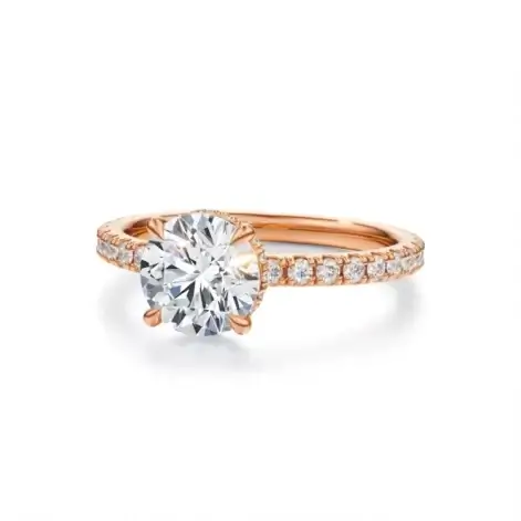 Rose_D#4_B_RD (00023)