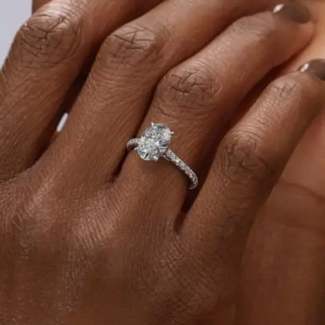 #1 Lifestyle-Black Hand-Animation (0-00-11-03)