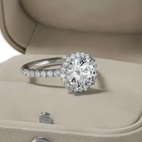 Engagement Ring On The Package (0-00-01-20)