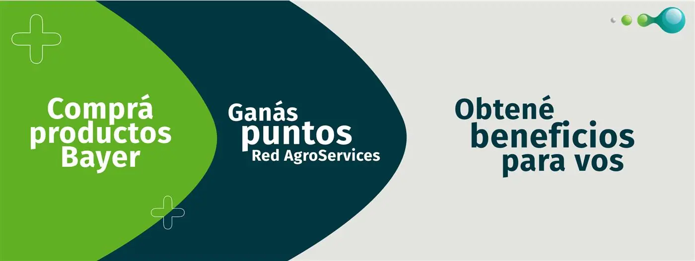 Bayer Beneficios
