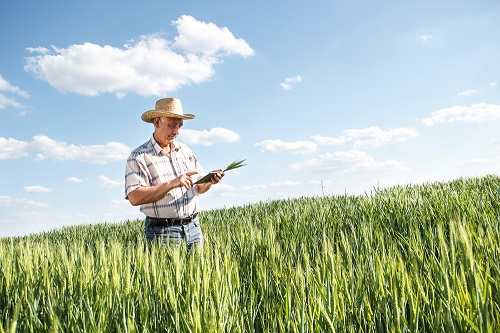 Resultado de imagem para produtor rural