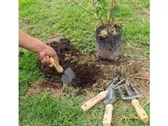 Juego herramientas Truper 6" 4 pzas para jardín - 4