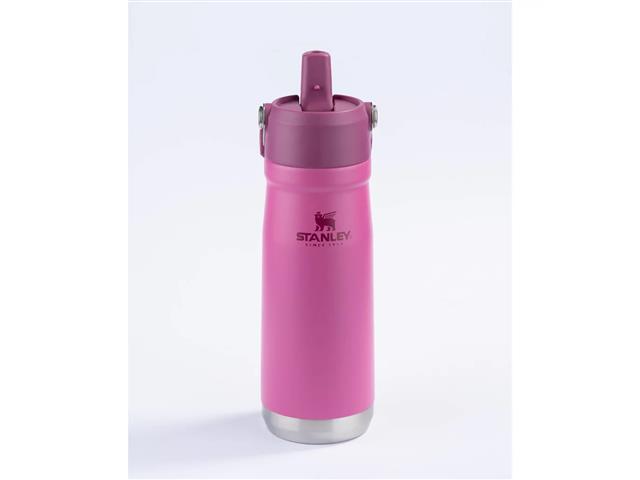 Garrafa Térmica Stanley Flip Straw Azalea 651ML