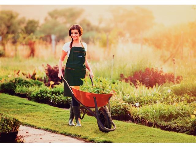 Carrinho de Mão Tramontina com Caçamba Funda Plástica Laranja 55 L - 1