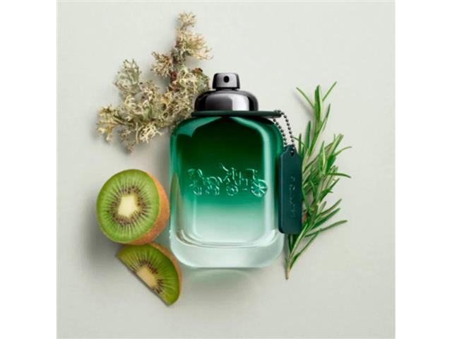 Perfume Coach Green Masculino Eau de Toilette 100ML - 2