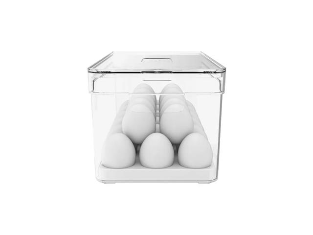 Organizador de Ovos OU com Tampa Clear Fresh Natural 36 Unidades - 1