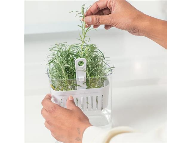 Organizador de Temperos OU Clear Fresh Natural 1,5 Litros - 2