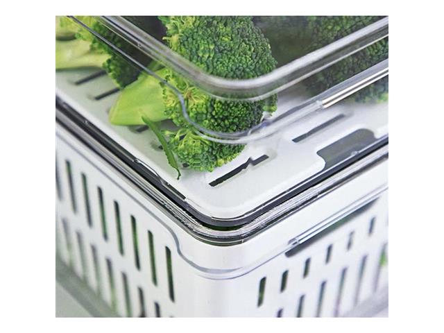 Conjunto OU Organizador de Geladeira Clear Fresh - 4