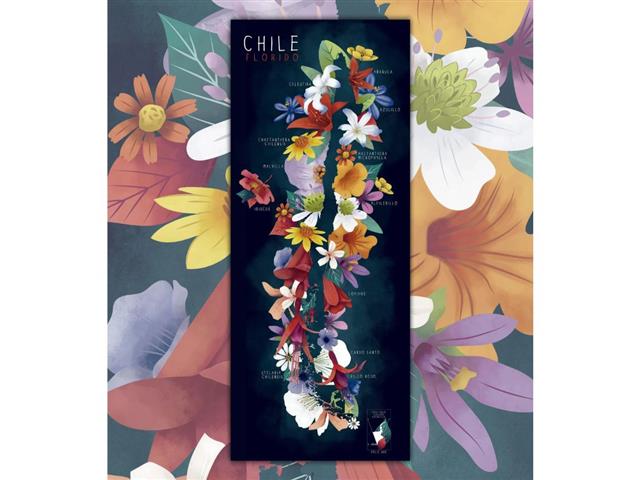 Chile Florido - Lámina
