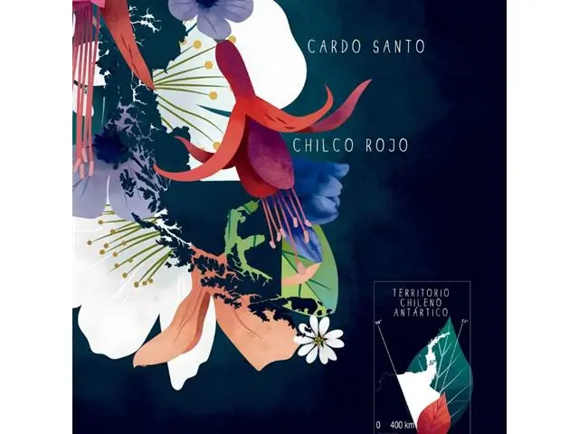 Chile Florido - Lámina