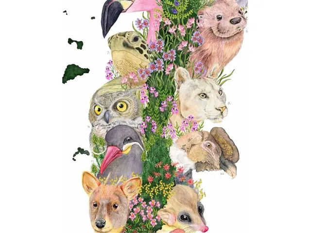 Mapa de Animales que Habitan Chile - Lámina