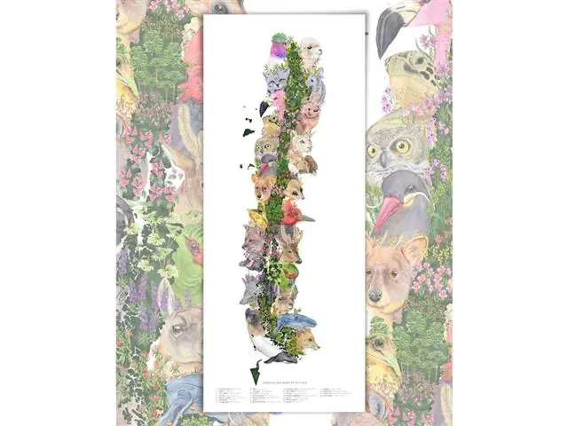 Mapa de Animales que Habitan Chile - Lámina