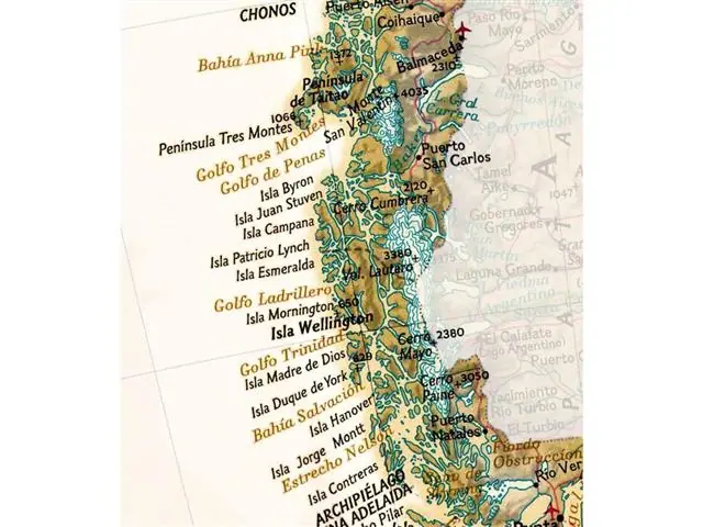 Mapa de Chile 2024 Sepia - Lámina