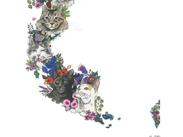 Mapa de Gatos - Lámina