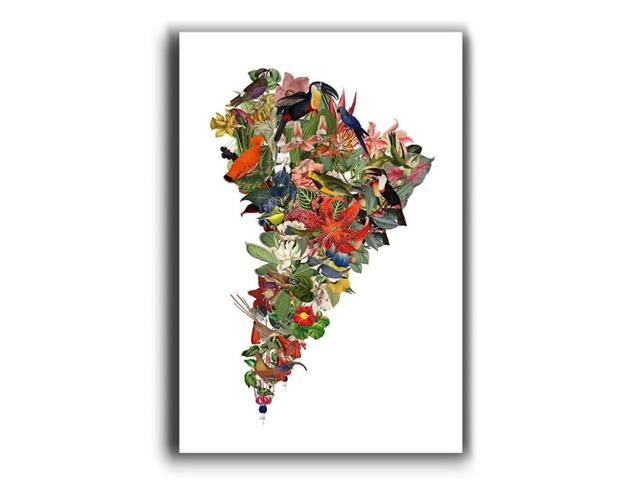 Flor de Sudamérica Blanco - Lámina