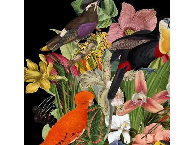 Flor de Sudamérica Negro - Lámina