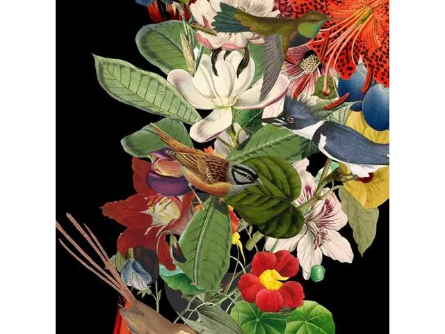Flor de Sudamérica Negro - Lámina