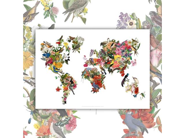 Mapa del Mundo Paraíso - Lámina