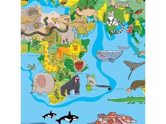 Mapa Mundi Infantil - Lámina