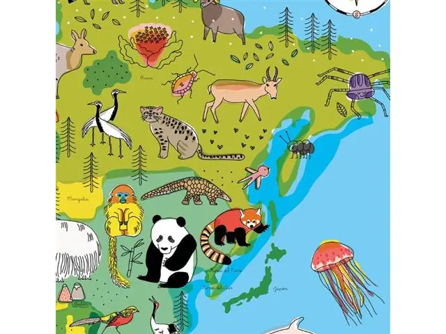 Mapa Mundi Infantil - Lámina
