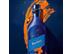Whisky Escocês Blended Johnnie Walker Blue Label Elusive Umami 750ml - 2