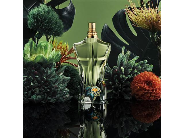 jean paul gaultier リブ 40サイズ オリーブ Orbia.ag