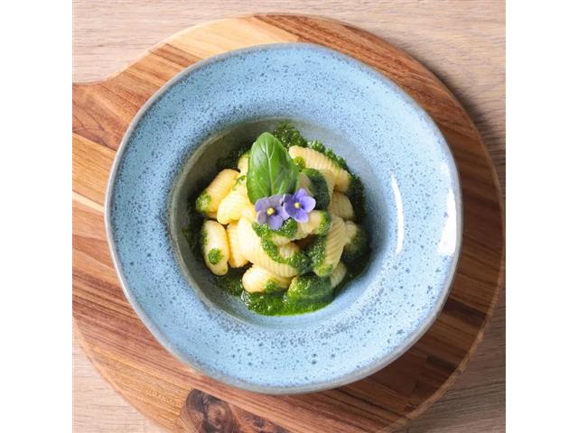 4 Pratos de Entrada Sobremesa Porto Brasil Orgânico Breeze 19cm - 3