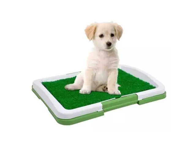 Baño Entrenamiento Ecológico Perros Mascotas Lavable 47x34x6 CM