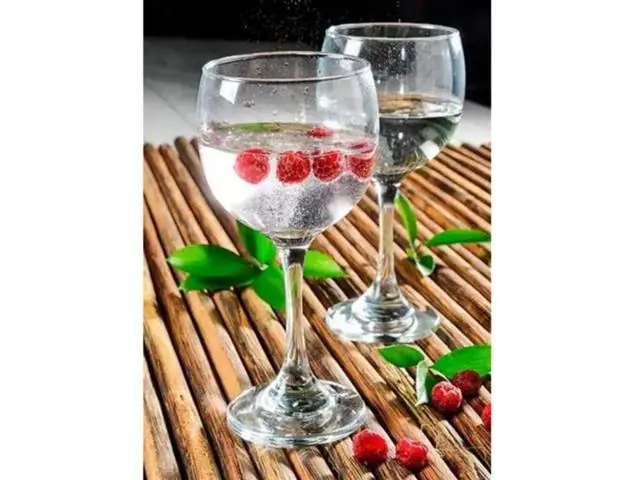 Set 4 Copas Gin Cóctel Vidrio 653 ML