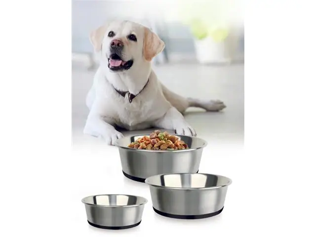 Plato de acero antideslizante base de silicón para mascotas grande