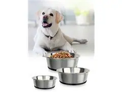 Plato de acero antideslizante base de silicón para mascotas grande - 4