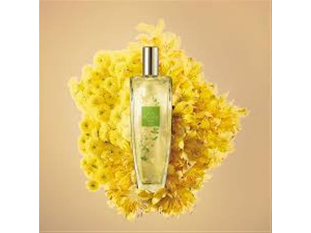 Deo Colônia Avon Pur Blanca Hope 75ml - 1