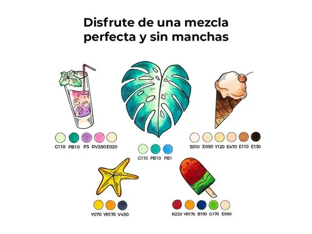 Marcadores Base Alcohol de Doble Punta 6 Colores Básicos Ohuhu