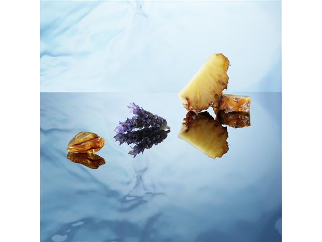 King of Seduction 24h Desodorante Spray 150ml - 8