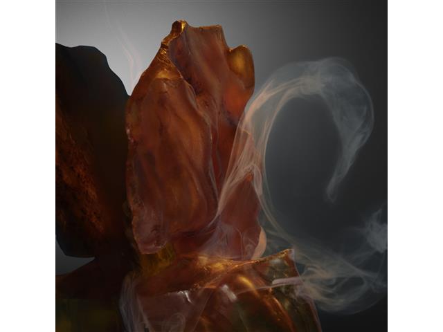 Rabanne Fame Eau de Parfum 150ml - 3