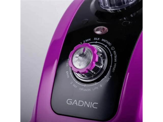 Vapor e Ferro de Passar Roupa Gadnic 1800W Vertical 110V - 8