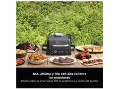 Parrilla exterior 7 en 1 Master Grill Ninja® - 4