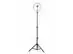 Aro de luz con tripie ajustable de 45 cm – 160 cm - 0