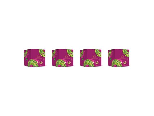 Kit 4 Panettones Chocolate 50% com Frutas Vermelhas Kopenhagen 690g